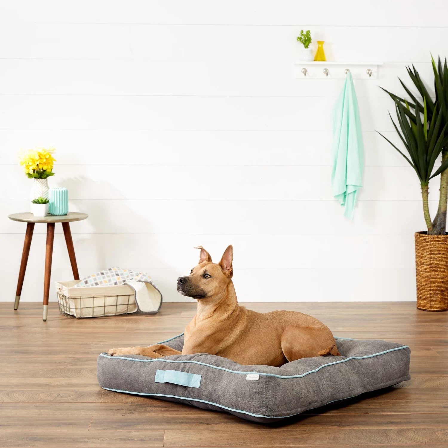 Frisco Tufted Square Pillow Cat & Dog Bed W/ Removable Cover 1 Frisco Tufted Square Pillow Cat & Dog Bed W/ Removable Cover