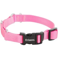 Frisco Solid Nylon Martingale Dog Collar With Buckle -Pet Dog Supplies Shop 139177 PT3. AC SS1800 V1620068872