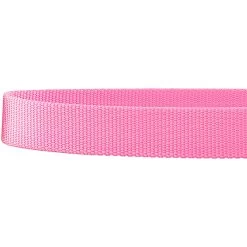 Frisco Solid Nylon Martingale Dog Collar With Buckle -Pet Dog Supplies Shop 139177 PT5. AC SS1800 V1620068877