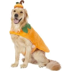 Frisco Pumpkin Dog & Cat Costume -Pet Dog Supplies Shop 144446 PT2. AC SS1800 V1567174700