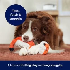 Frisco Fox Skinny Plush Squeaky Dog Toy -Pet Dog Supplies Shop 147049 PT5. AC SS1800 V1691776638