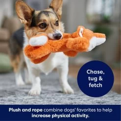 Frisco Fox Plush With Inside Rope Squeaky Dog Toy 10 Frisco Fox Plush With Inside Rope Squeaky Dog Toy -Pet Dog Supplies Shop 147065 PT4. AC SS1800 V1695671059