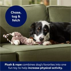 Frisco Monkey Plush With Rope Squeaky Dog Toy 8 Frisco Monkey Plush With Rope Squeaky Dog Toy -Pet Dog Supplies Shop 147067 PT4. AC SS1800 V1686079871