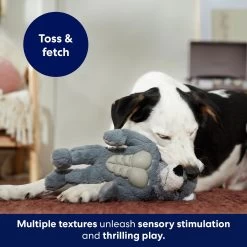 Frisco Wolf Muscle Plush Squeaky Dog Toy -Pet Dog Supplies Shop 147082 PT5. AC SS1800 V1691776574