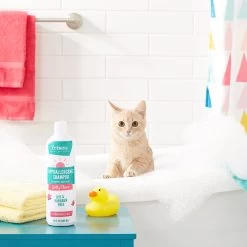Frisco Hypoallergenic Puppy & Kitten Shampoo, Unscented -Pet Dog Supplies Shop 152571 PT3. AC SS1800 V1551302790