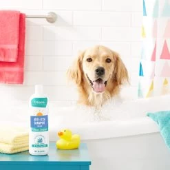 Frisco Anti-Itch Dog Shampoo With Aloe, Unscented 6 Frisco Anti-Itch Dog Shampoo With Aloe, Unscented -Pet Dog Supplies Shop 152577 PT2. AC SS1800 V1551302907