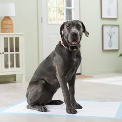 Frisco Premium Giant Dog Training & Potty Pads -Pet Dog Supplies Shop 152699 PT6. AC SS1800 V1674671620