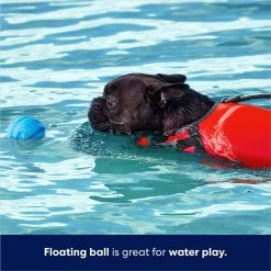 Frisco Foam Rubber Floating Fetch Ball No Squeak Dog Toy -Pet Dog Supplies Shop 152798 PT3. AC SS1800 V1686579688