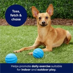 Frisco Foam Rubber Floating Fetch Ball No Squeak Dog Toy -Pet Dog Supplies Shop 152798 PT4. AC SS1800 V1686579140