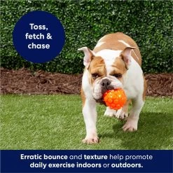 Frisco Fetch Squeaky TPR Ball Dog Toy -Pet Dog Supplies Shop 152801 PT4. AC SS1800 V1686580091