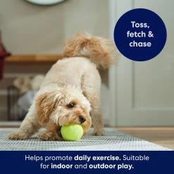 Frisco Fetch Squeaky Tennis Ball Dog Toy -Pet Dog Supplies Shop 152803 PT3. AC SS1800 V1691776572
