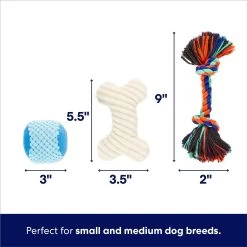 Frisco Chewy Box Hide & Seek Puzzle Plush Squeaky Dog Toy -Pet Dog Supplies Shop 152808 PT2. AC SS1800 V1695659219