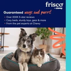 Frisco Chewy Box Hide & Seek Puzzle Plush Squeaky Dog Toy -Pet Dog Supplies Shop 152808 PT8. AC SS1800 V1695670690
