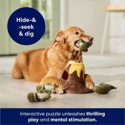 Frisco Volcano Hide & Seek Puzzle Plush Squeaky Dog Toy -Pet Dog Supplies Shop 152810 PT3. AC SS1800 V1686079871