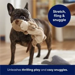 Frisco Beaver Bungee Plush Squeaky Dog Toy -Pet Dog Supplies Shop 152824 PT5. AC SS1800 V1686580146