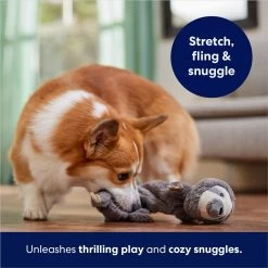Frisco Sloth Bungee Plush Squeaky Dog Toy 10 Frisco Sloth Bungee Plush Squeaky Dog Toy -Pet Dog Supplies Shop 152826 PT5. AC SS1800 V1686579214