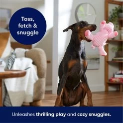 Frisco Corduroy Plush Squeaking Pig Dog Toy -Pet Dog Supplies Shop 152832 PT4. AC SS1800 V1695671001