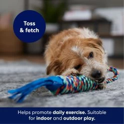 Frisco Rope With Handle & Tassels Dog Toy 6 Frisco Rope With Handle & Tassels Dog Toy -Pet Dog Supplies Shop 152840 PT3. AC SS1800 V1695241916