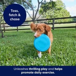 Frisco Fetch Rubber Flyer Dog Toy 6 Frisco Fetch Rubber Flyer Dog Toy -Pet Dog Supplies Shop 152848 PT5. AC SS1800 V1692370079