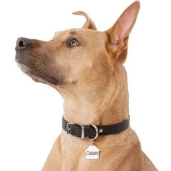 Frisco Stainless Steel Personalized Dog ID Tag, Dog House -Pet Dog Supplies Shop 153000 PT5. AC SS1800 V1540562239