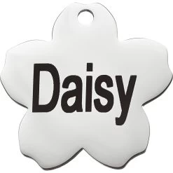 Frisco Stainless Steel Personalized Dog & Cat ID Tag, Flower -Pet Dog Supplies Shop 153002 PT2. AC SS1800 V1548964685