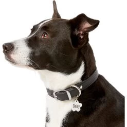 Frisco Stainless Steel Personalized Dog & Cat ID Tag, Flower -Pet Dog Supplies Shop 153002 PT5. AC SS1800 V1540562264