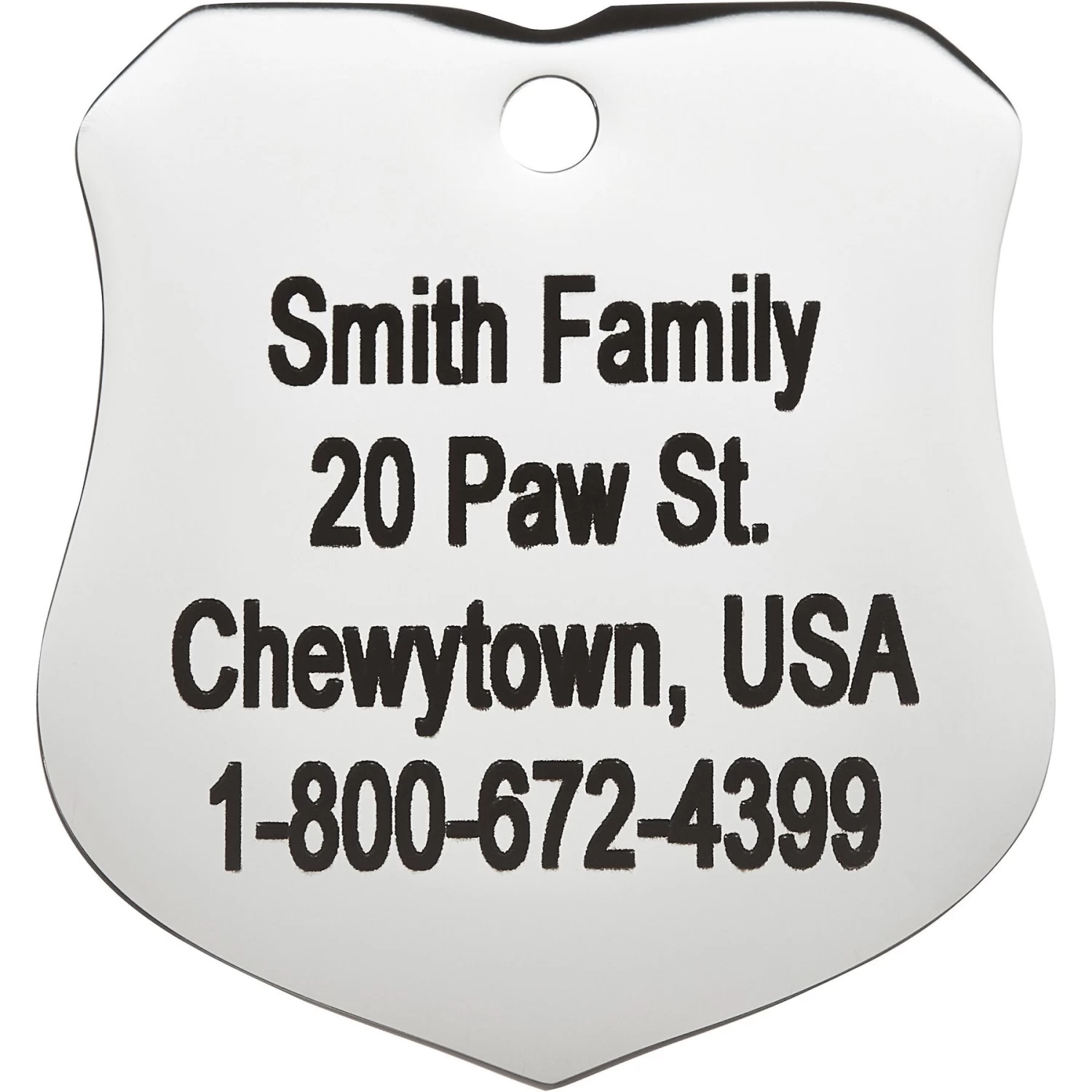 Frisco Stainless Steel Personalized Dog & Cat ID Tag, Badge 4 Frisco Stainless Steel Personalized Dog & Cat ID Tag, Badge - Image 4