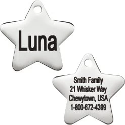 Frisco Stainless Steel Personalized Dog & Cat ID Tag, Star