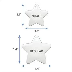 Frisco Stainless Steel Personalized Dog & Cat ID Tag, Star -Pet Dog Supplies Shop 153017 PT6. AC SS1800 V1540562611