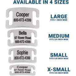 Frisco Stainless Steel Slide-On Personalized Dog & Cat Tag, Open Design -Pet Dog Supplies Shop 153050 PT3. AC SS1800 V1644013293