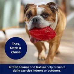 Frisco Football TPR Squeaky Dog Toy -Pet Dog Supplies Shop 154412 PT3. AC SS1800 V1686578718