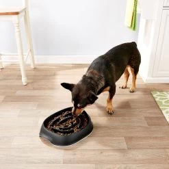 Frisco Non-Skid Slow Feeder Dog & Small Pet Bowl -Pet Dog Supplies Shop 155648 PT4. AC SS1800 V1553538724