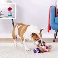 Frisco American Flag Bear Plush Squeaky Dog Toy -Pet Dog Supplies Shop 157187 PT2. AC SS1800 V1559764047