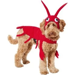 Frisco Red Lobster Dog & Cat Costume -Pet Dog Supplies Shop 158723 PT2. AC SS1800 V1659023725