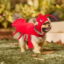 Frisco Red Lobster Dog & Cat Costume -Pet Dog Supplies Shop 158723 PT6. AC SS1800 V1659023888