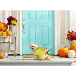 Frisco Taco Dog & Cat Costume -Pet Dog Supplies Shop 158826 PT3. AC SS1800 V1567175798