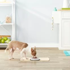 Frisco Non-Skid Stainless Steel Bowl -Pet Dog Supplies Shop 159860 PT3. AC SS1800 V1570543131