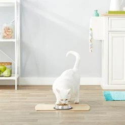 Frisco Non-Skid Stainless Steel Bowl -Pet Dog Supplies Shop 159860 PT4. AC SS1800 V1570543031