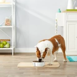 Frisco Stainless Steel Dog & Cat Bowl -Pet Dog Supplies Shop 159867 PT3. AC SS1800 V1570543097