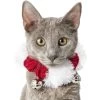 Frisco Jingle Bells Dog & Cat Holiday Collar With Bells, 1 Count