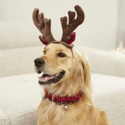 Frisco Holiday Antler Headband & Bell Collar Dog & Cat Costume -Pet Dog Supplies Shop 160658 PT4. AC SS1800 V1568818037