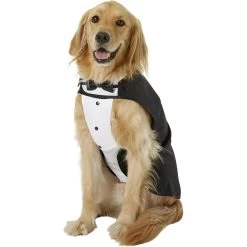 Frisco Formal Dog & Cat Tuxedo, Black