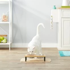 Frisco Wood Elevated Stainless Steel Double Diner Dog & Cat Bowl -Pet Dog Supplies Shop 161144 PT4. AC SS1800 V1561641433