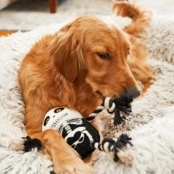 Frisco Halloween Skeleton Plush With Rope Squeaky Dog Toy 7 Frisco Halloween Skeleton Plush With Rope Squeaky Dog Toy -Pet Dog Supplies Shop 161358 PT6. AC SS1800 V1597599370