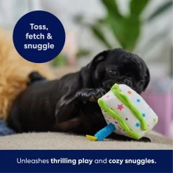 Frisco Birthday Cake Slice Plush Squeaky Dog Toy 10 Frisco Birthday Cake Slice Plush Squeaky Dog Toy -Pet Dog Supplies Shop 162906 PT4. AC SS1800 V1695671059