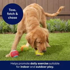 Frisco Birthday Fetch Squeaky Tennis Ball Dog Toy 11 Frisco Birthday Fetch Squeaky Tennis Ball Dog Toy -Pet Dog Supplies Shop 162914 PT5. AC SS1800 V1692020098