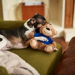 Frisco Chewy Bear Plush Squeaky Dog Toy -Pet Dog Supplies Shop 164312 PT3. AC SS1800 V1600973456