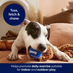 Frisco Chewy Fetch Squeaky Tennis Ball Dog Toy -Pet Dog Supplies Shop 164314 PT5. AC SS1800 V1691783910