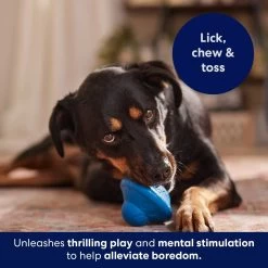 Frisco Flying Saucer Rubber Treat Dispenser Dog Toy 12 Frisco Flying Saucer Rubber Treat Dispenser Dog Toy -Pet Dog Supplies Shop 164757 PT5. AC SS1800 V1691784247