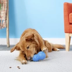 Frisco Snowman Rubber Treat Dispenser Dog Toy -Pet Dog Supplies Shop 164769 PT4. AC SS1800 V1563808954